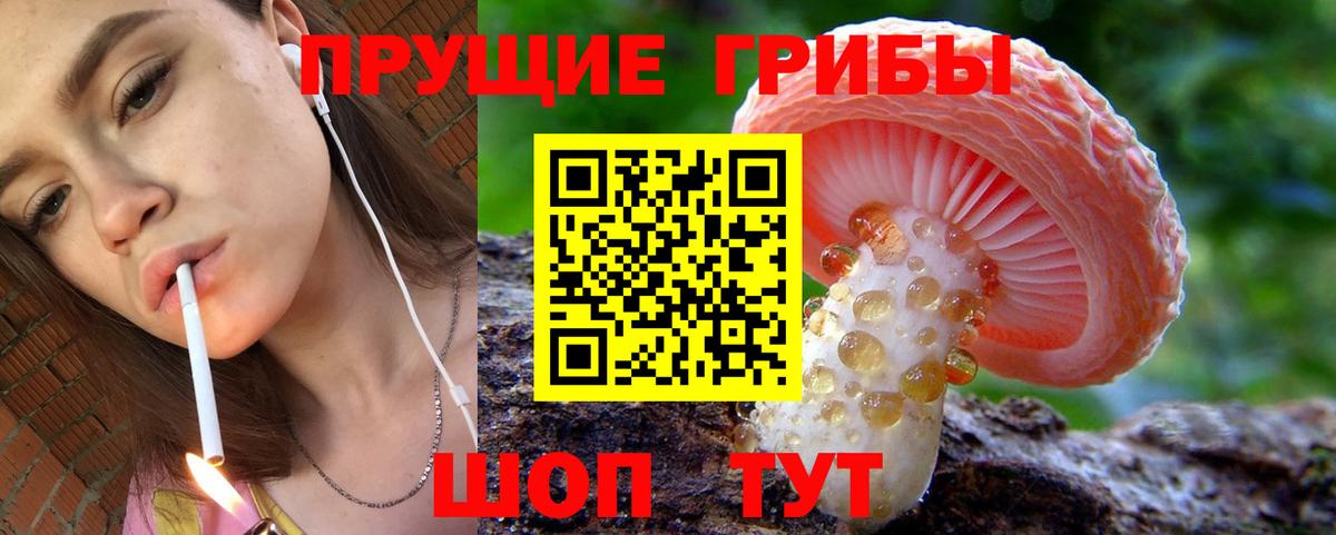 Псилоцибиновые грибы мицелий Моздок